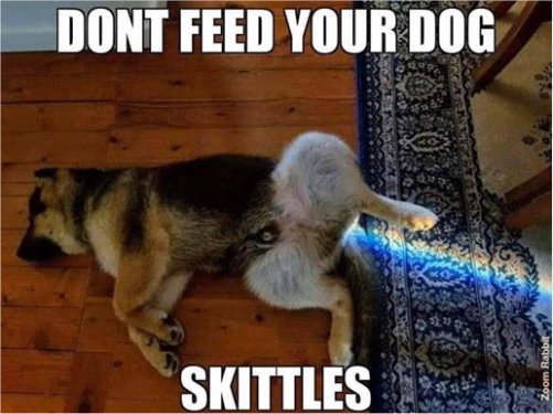 13722_skittles%20majorgeeks.jpg
