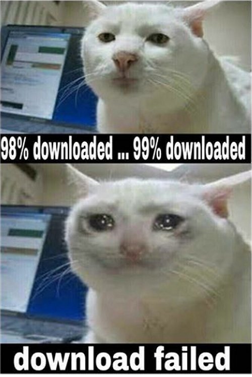 13729_caturdaydownload%20majorgeeks.jpg