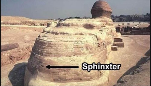 18730_egypt%20majorgeeks.jpg