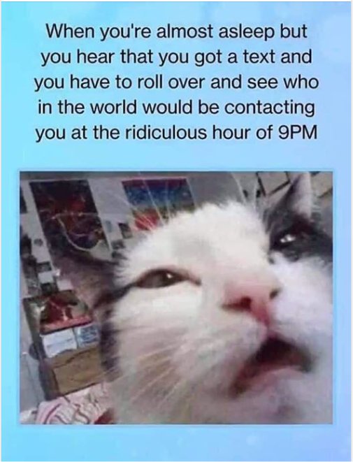 14753_caturday%20night%20text%20majorgeeks1.jpg