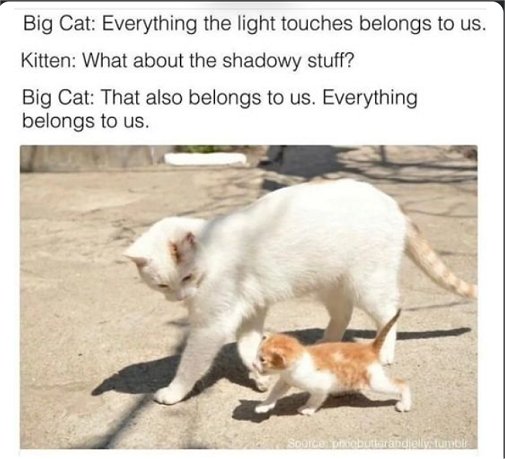 20836_light%20caturday%20shadow%20majorgeeks.jpg