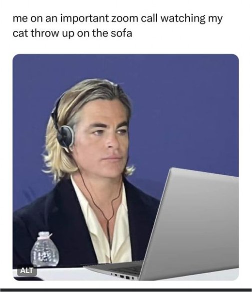 18781_caturday%20zoom%20majorgeeks.jpg