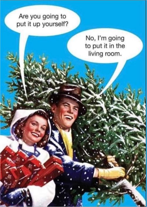 20254_putting%20up%20the%20tree%20%20majorgeeks.jpg