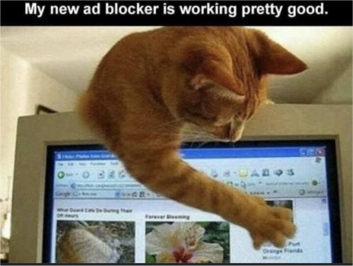 18589_ad%20blocker%20caturday%20majorgeeks.jpg
