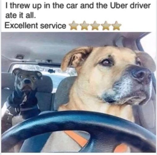 12590_five%20star%20driver%20majorgeeks.jpg