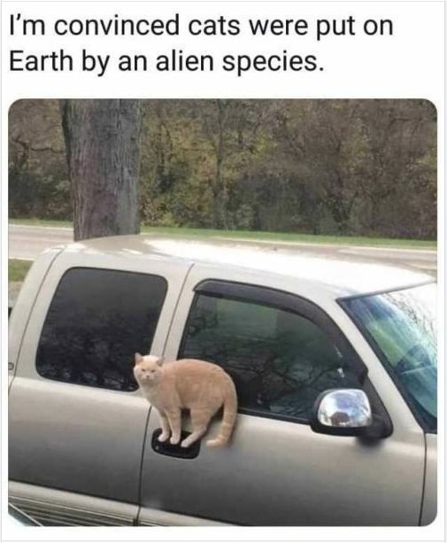14852_caturday%20alien%20majorgeeks.jpg