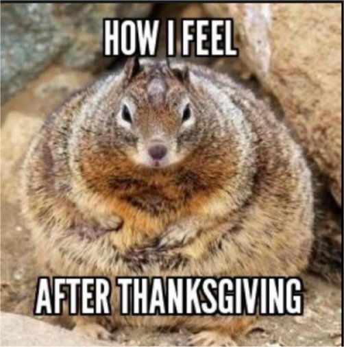 18906_after%20turkey%20day%203%20majorgeeks.jpg