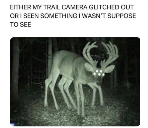 19313_glitch%20majorgeeks.jpg