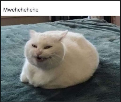 20178_caturday%20mwehehehe%20majorgeeks.jpg
