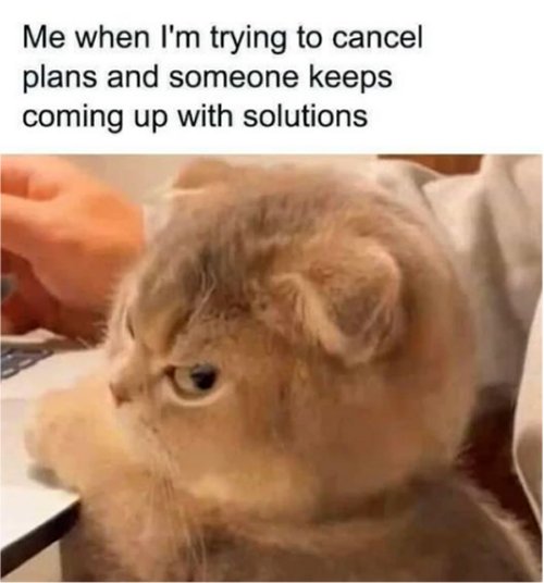 18312_cancellation%20caturday%20majorgeeks.jpg