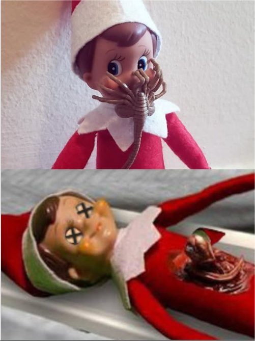 20213_elf%20shelf%20majorgeeks.jpg