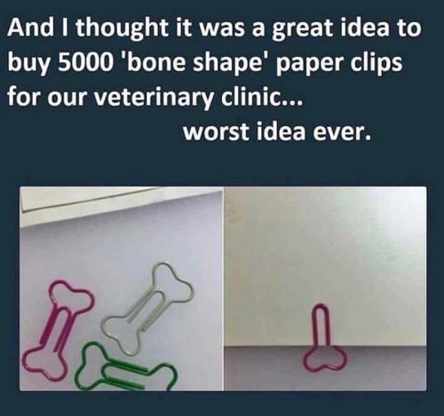 18520_paperclips%20majorgeeks.jpg