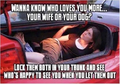 14341_dog%20wife%20majorgeeks.jpg