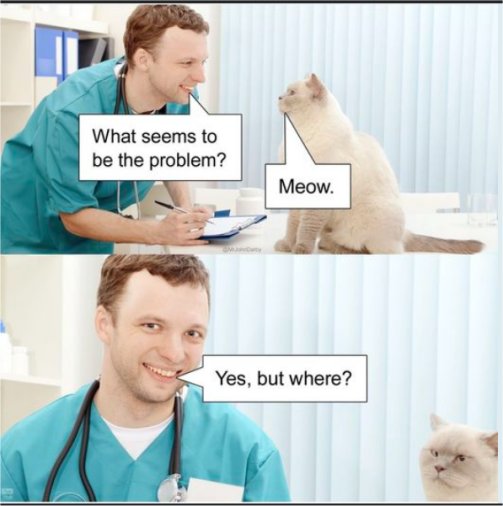 19306_caturday%20meow%20majorgeeks.jpg