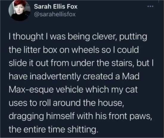 20493_mad%20max%202%2015%20caturday%20majorgeeks.jpg