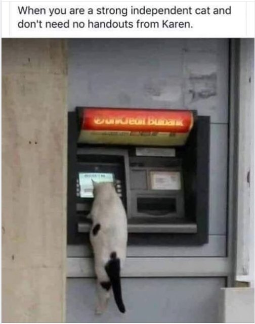16556_atm%20cat%20majorgeeks.jpg