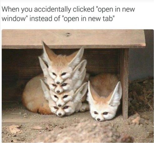 12990_accidental%20click%20majorgeeks3.jpg