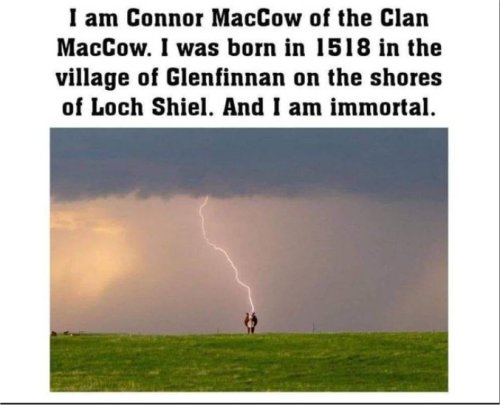 18377_there%20can%20only%20be%20moooo%20majorgeeks.jpg