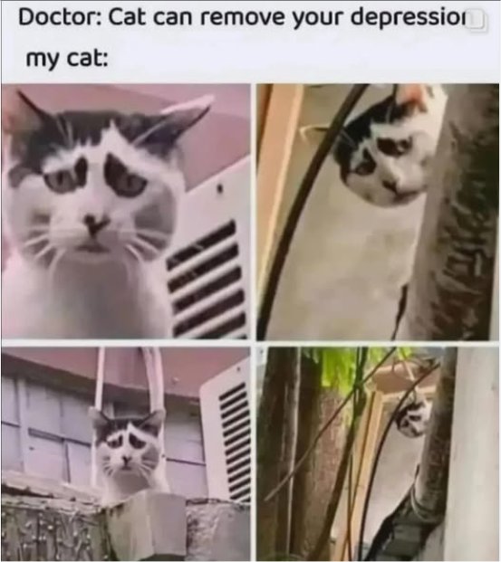 20585_caturday%20dep%20majorgeeks3.jpg