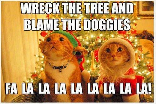 17709_xmas%20-%20caturday%20majorgeeks.jpg