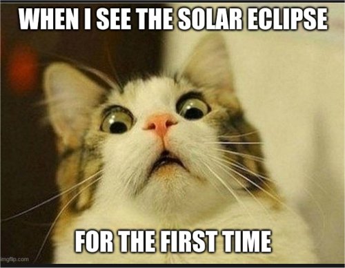 19392_caturday%20eclipse%203%20majorgeeks.jpg