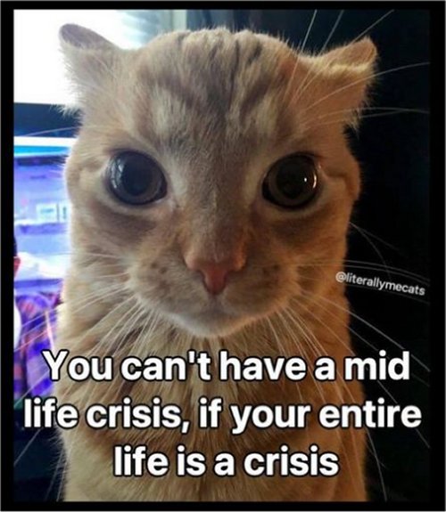 21043_crisis%20caturday%20majorgeeks.jpg