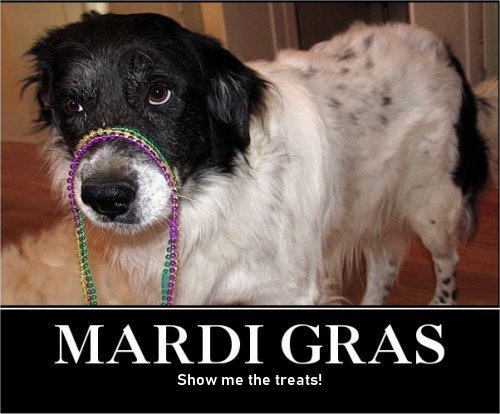 19181_mardi%20gras%20majorgeeks.jpg