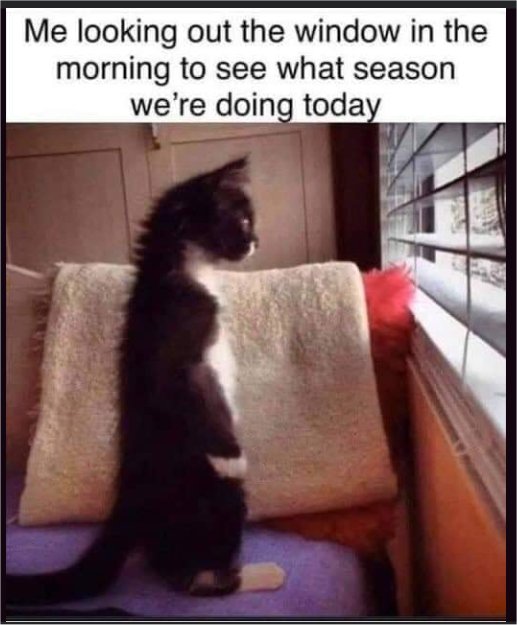 19054_season%20caturday%20majorgeeks.jpg
