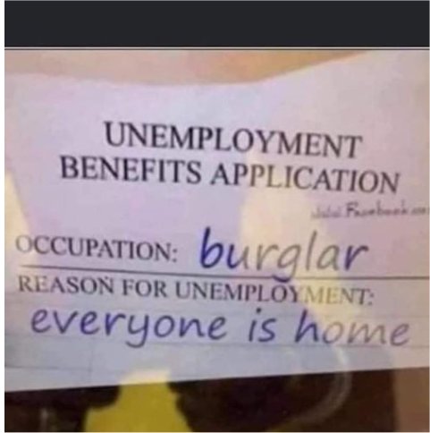 14781_burglar%20majorgeeks.jpg