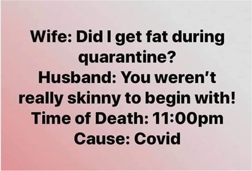 14270_!%20a1%20fat%20quarantine%20majorgeeks.jpg
