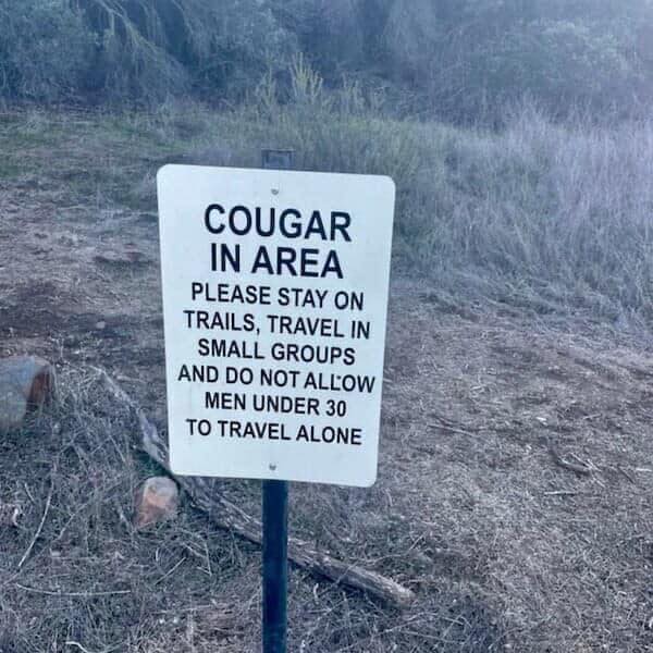 16455_random%20photo%20beware%20of%20cougar.jpg
