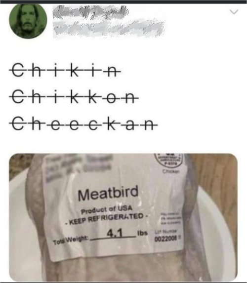 18005_chicken%20majorgeeks.jpg