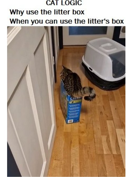 18257_caturday%20logic%20majorgeeks.jpg