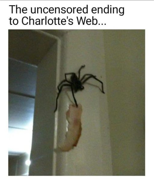 19143_charlotte%20majorgeeks.jpg