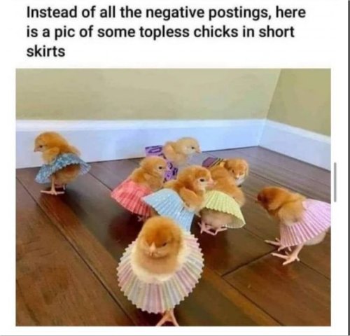 17801_topless%20short%20skirts%20majorgeeks.jpg