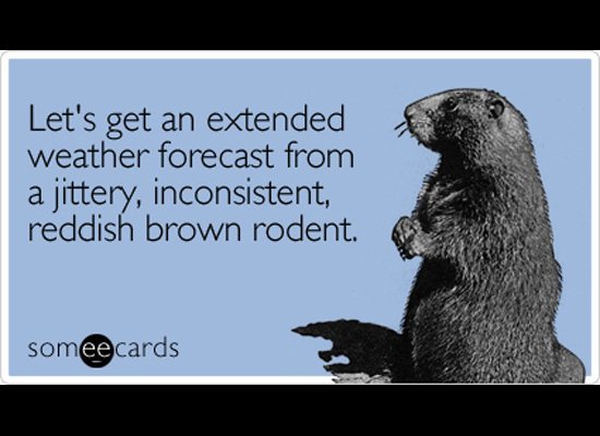 groundhog2.jpg