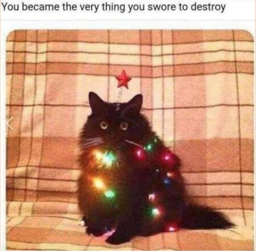 15123_swore%20to%20destroy%20%20caturday%20majorgeeks.jpg
