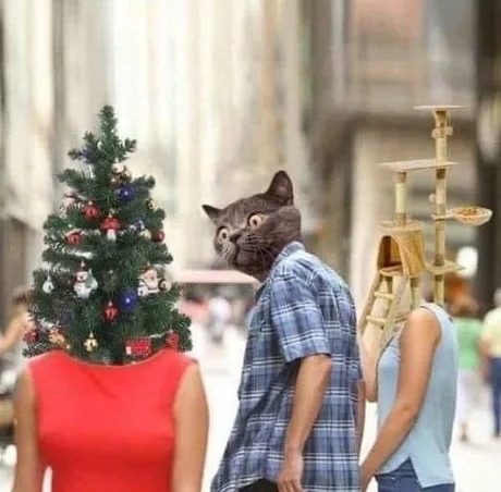 17655_caterday-christmas.jpg