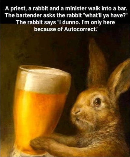 14449_random%20photo%20a%20priest%20a%20rabbit.jpg