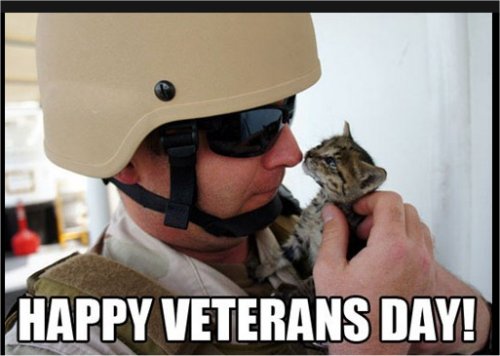 18861_caturdayveterans%20day%20majorgeeks.jpg