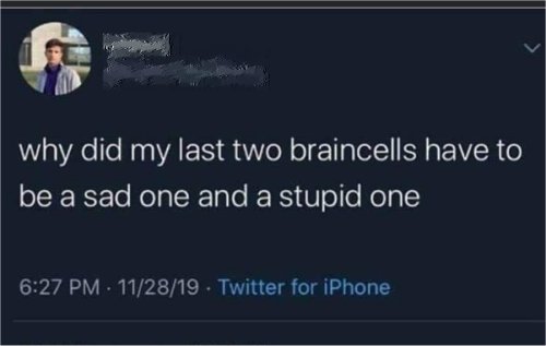 17446_last%20two%20braincells%20majorgeeks.jpg