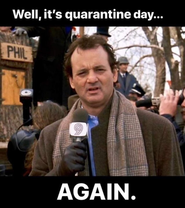 14133_quarantine%20again%20majorgeeks.jpg