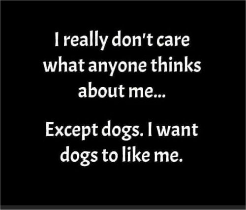 15361_really%20dont%20care%20majorgeeks.jpg