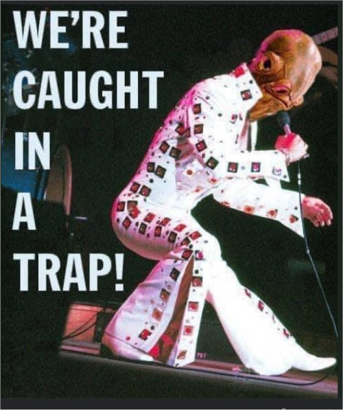 19580_caught%20in%20a%20trap%20majorgeeks.jpg