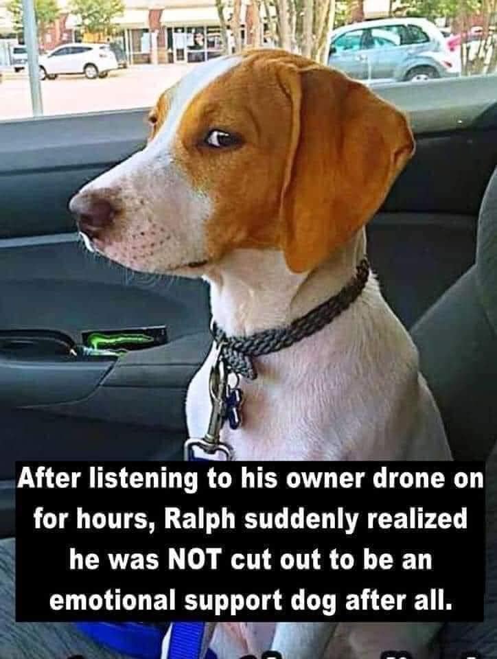 20840_ralph.jpg