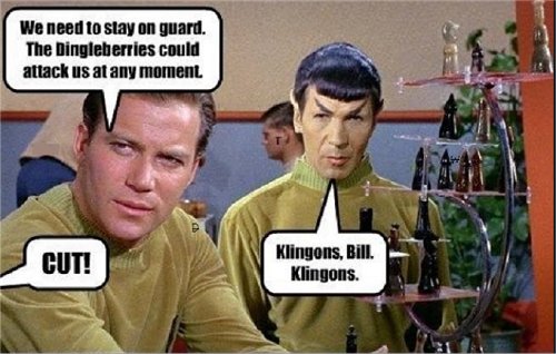 15433_klingon%20majorgeeks.jpg