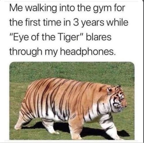 18016_the%20gym%20majorgeeks2.jpg