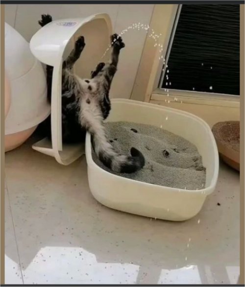 18689_oopsy%20caturday%20majorgeeks.jpg