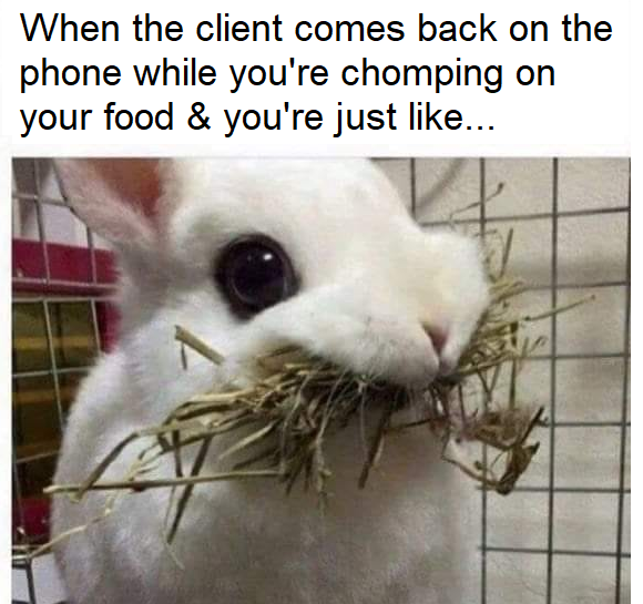 wfg0jqmrn6231.png