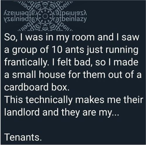 13721_ten%20ants%20majorgeeks1.jpg